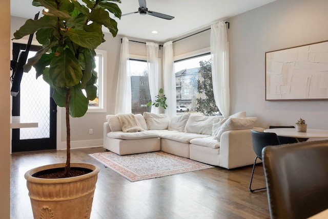 living room with ceiling fan and dark hardwood / wood-style flooring