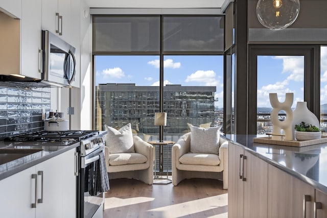 kitchen with appliances with stainless steel finishes, floor to ceiling windows, wood-type flooring, white cabinets, and decorative backsplash