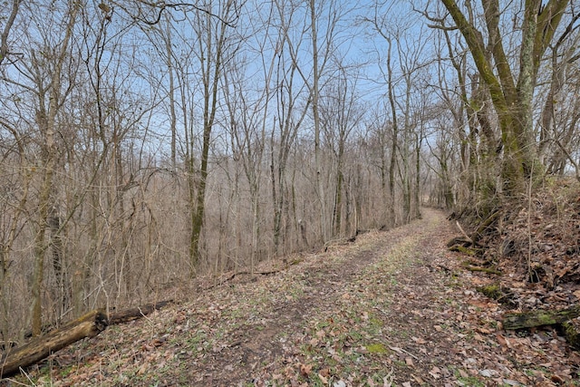 view of landscape with a view of trees