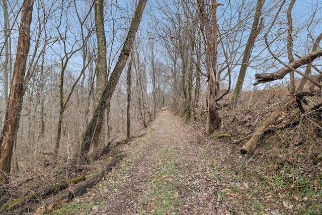 view of nature with a view of trees