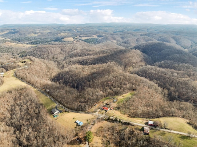 aerial view with a forest view