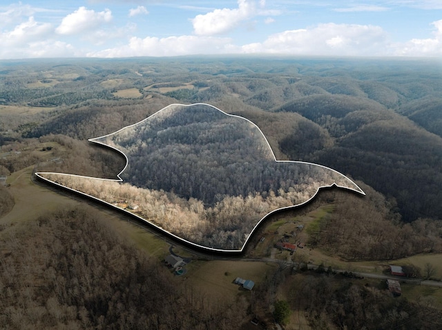 aerial view with a wooded view