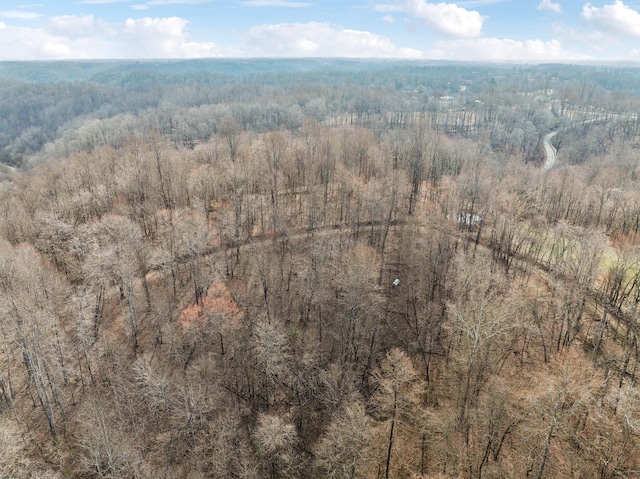 bird's eye view featuring a view of trees