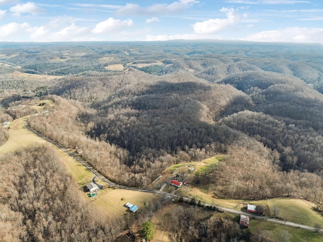 aerial view with a wooded view