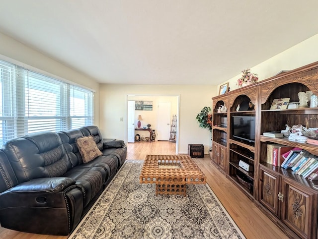 living room with light hardwood / wood-style floors