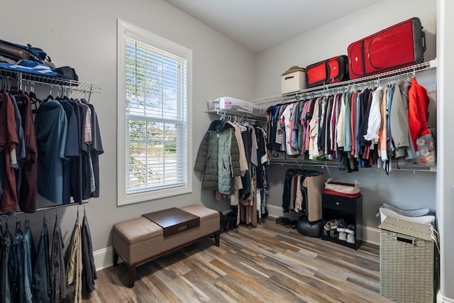 spacious closet with hardwood / wood-style floors