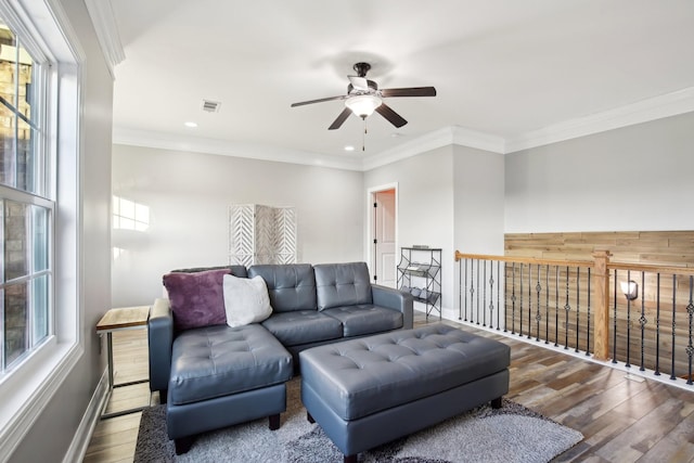 living room with ceiling fan, plenty of natural light, wood-type flooring, and ornamental molding