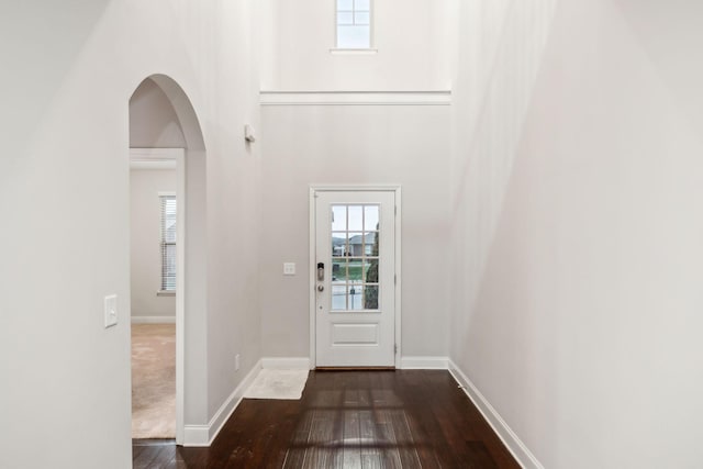 foyer with dark hardwood / wood-style flooring, plenty of natural light, and a high ceiling