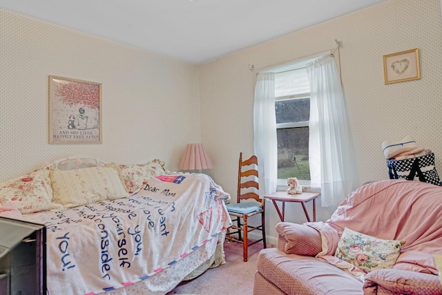 2360 Seven Mile Ferry Rd, Clarksville, TN 37040 - view of carpeted bedroom