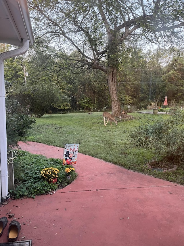 2360 Seven Mile Ferry Rd, Clarksville, TN 37040 - view of patio / terrace