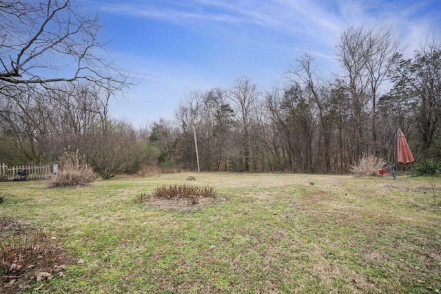 2360 Seven Mile Ferry Rd, Clarksville, TN 37040 - view of yard