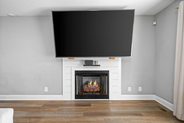 details featuring a large fireplace and wood-type flooring