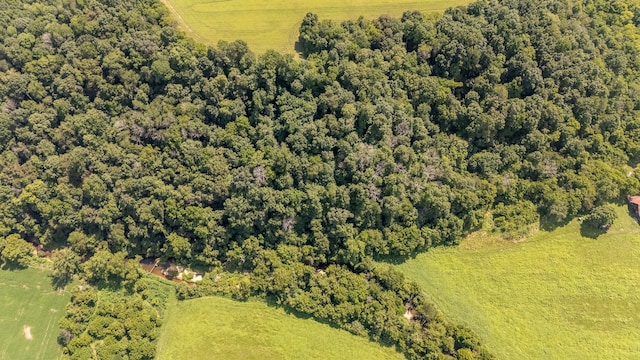4000 Weakley Creek Rd, Lawrenceburg, TN 38464 - photo 4