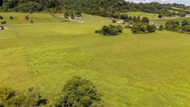 4000 Weakley Creek Rd, Lawrenceburg, TN 38464 - photo 18
