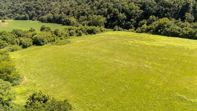 4000 Weakley Creek Rd, Lawrenceburg, TN 38464 - photo 19