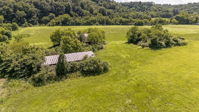 4000 Weakley Creek Rd, Lawrenceburg, TN 38464 - photo 22