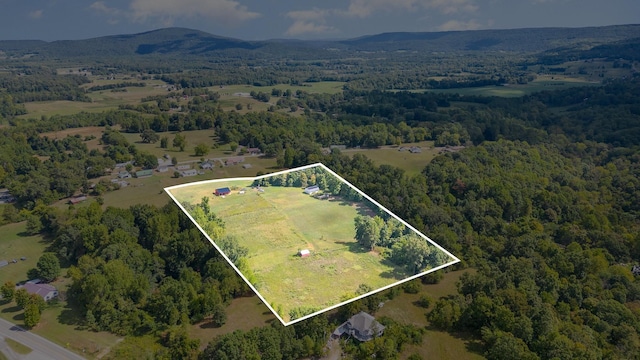 birds eye view of property with a mountain view