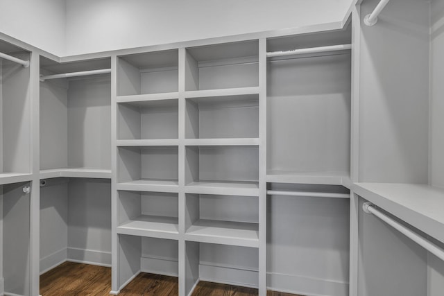 spacious closet featuring dark hardwood / wood-style floors