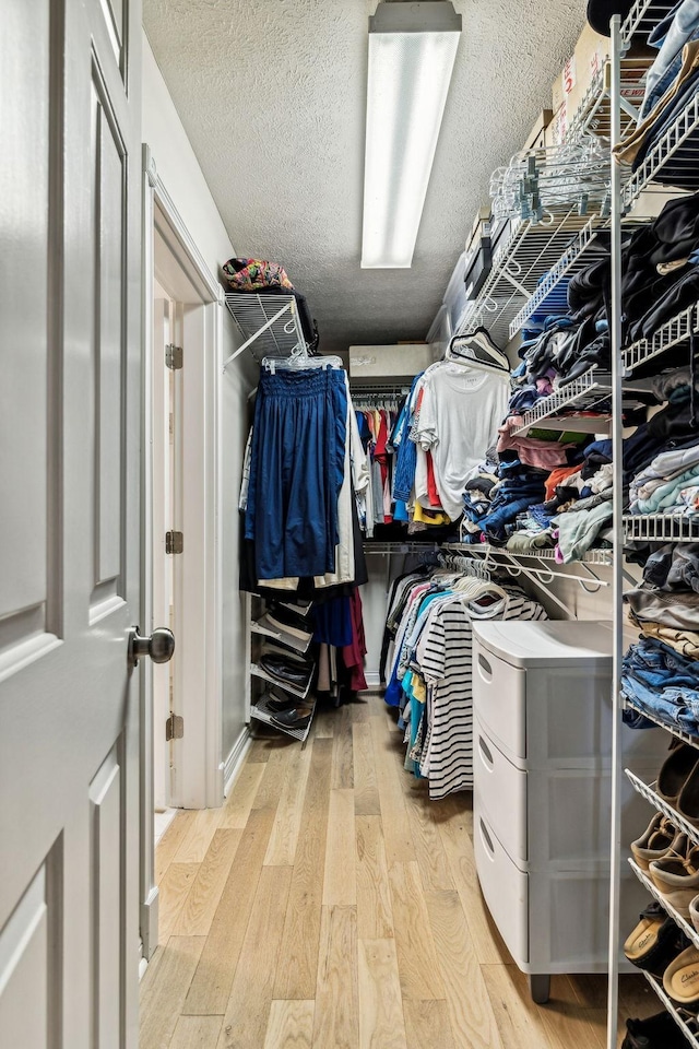 spacious closet with light wood-type flooring