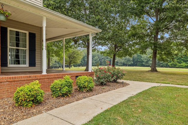 view of yard featuring covered porch