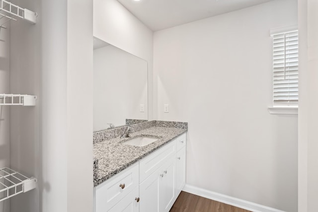 bathroom with wood-type flooring and vanity