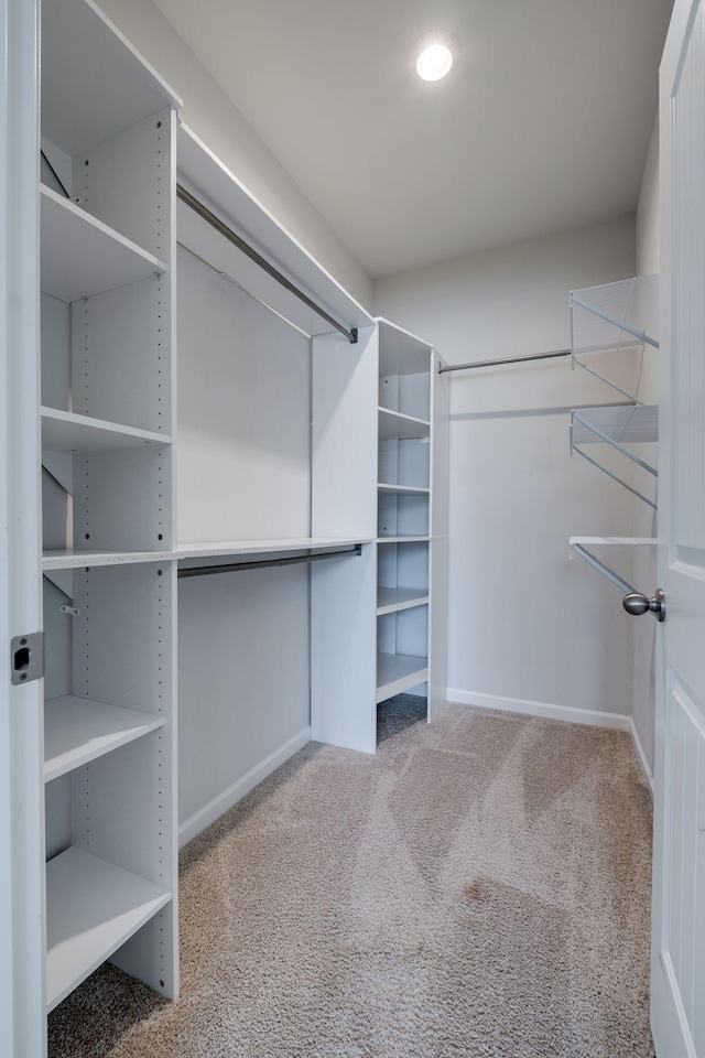 spacious closet with carpet floors