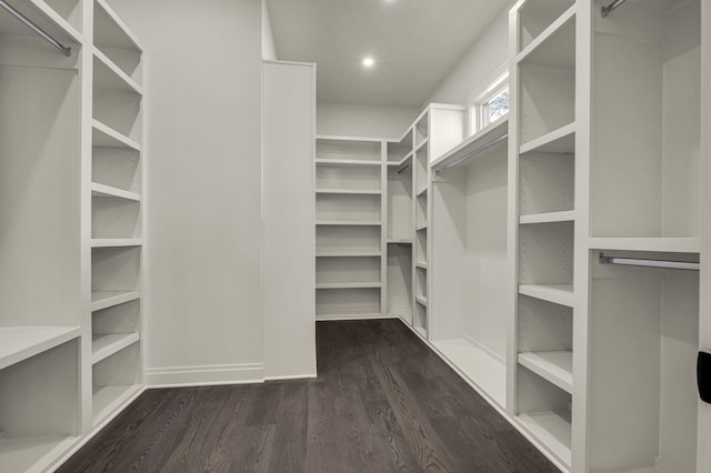 spacious closet featuring dark hardwood / wood-style flooring