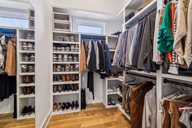 spacious closet featuring light hardwood / wood-style flooring