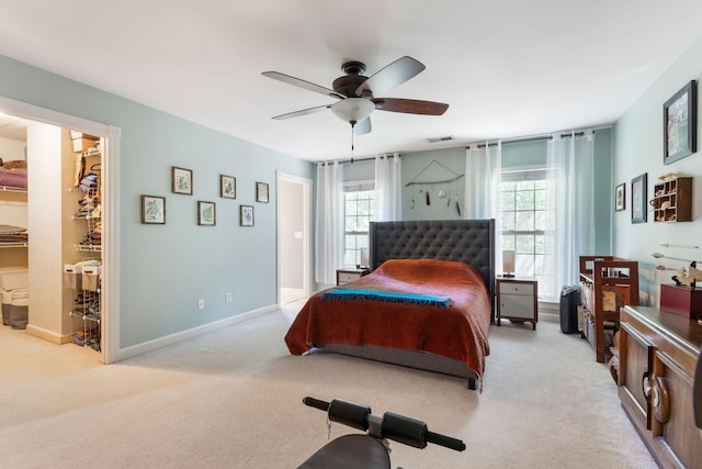 carpeted bedroom with ceiling fan and a walk in closet