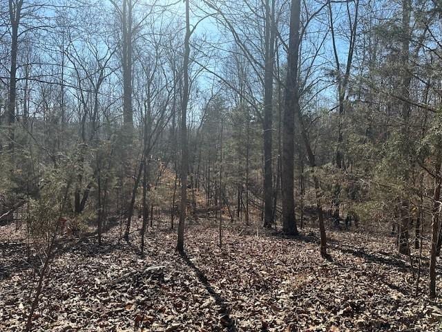 0 S Lick Crk, Lyles TN, 37098 land for sale