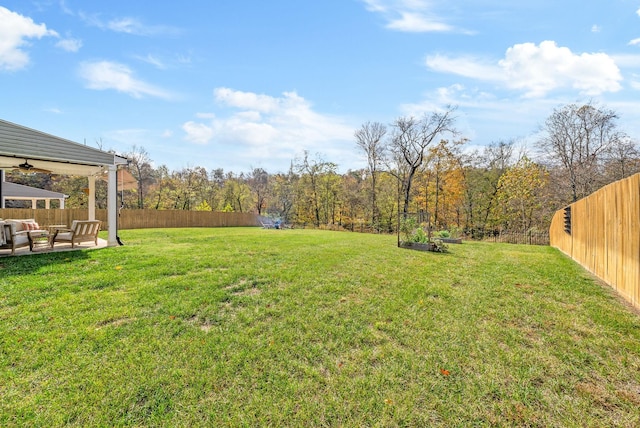 view of yard with a patio area