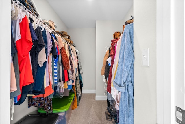 walk in closet featuring carpet