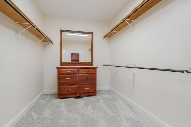 spacious closet with light carpet