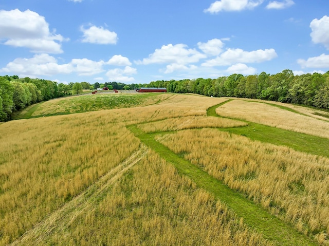 bird's eye view with a rural view