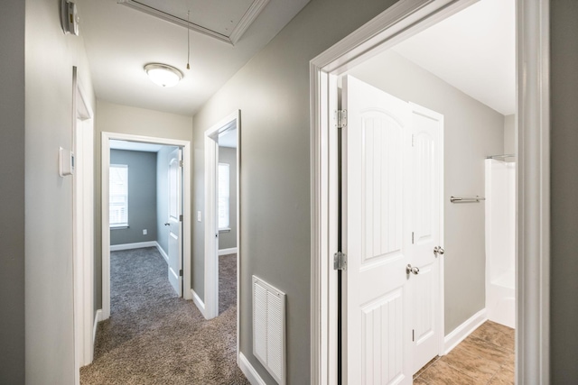 hallway with carpet