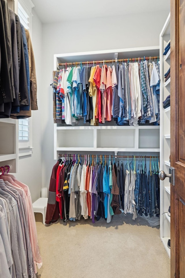 spacious closet with carpet