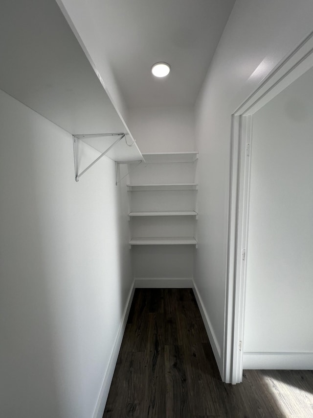 walk in closet with dark hardwood / wood-style floors