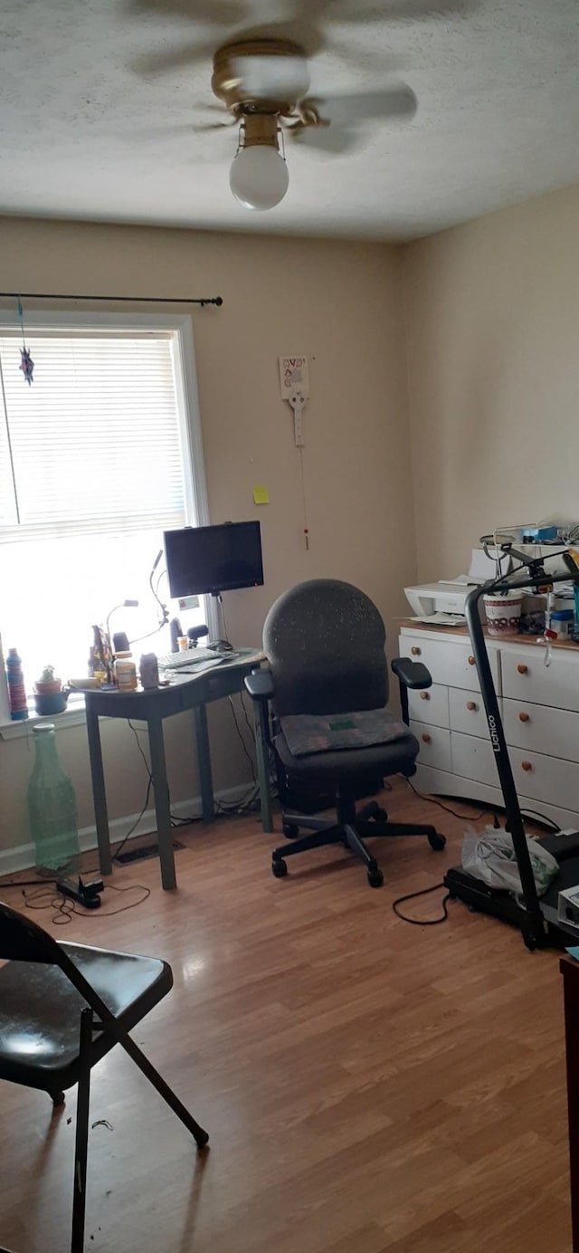 office area featuring light hardwood / wood-style floors