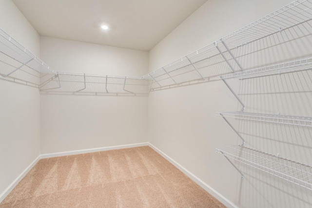 spacious closet with carpet