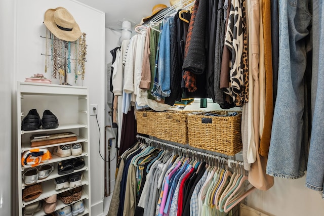 view of spacious closet