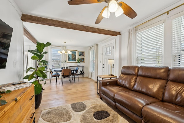 living room with beam ceiling, light wood-type flooring, ceiling fan with notable chandelier, and a healthy amount of sunlight