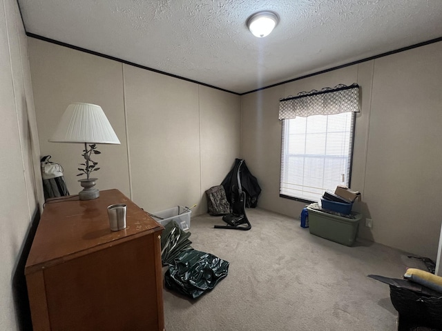 interior space featuring ornamental molding, a textured ceiling, and light colored carpet