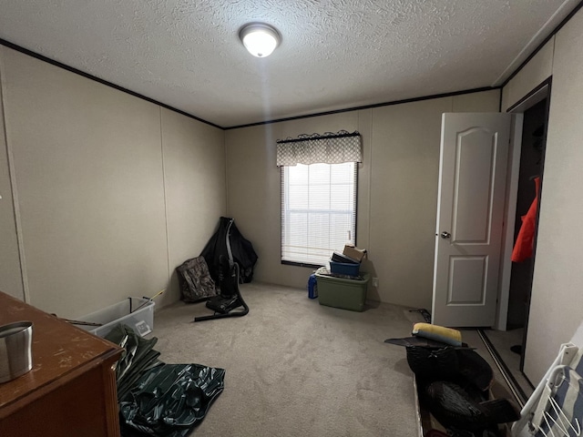 interior space featuring carpet floors, crown molding, and a textured ceiling