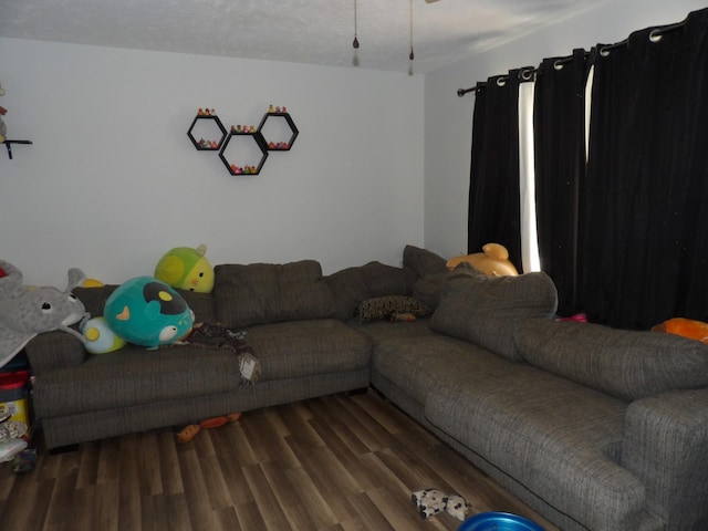 living room with dark hardwood / wood-style flooring