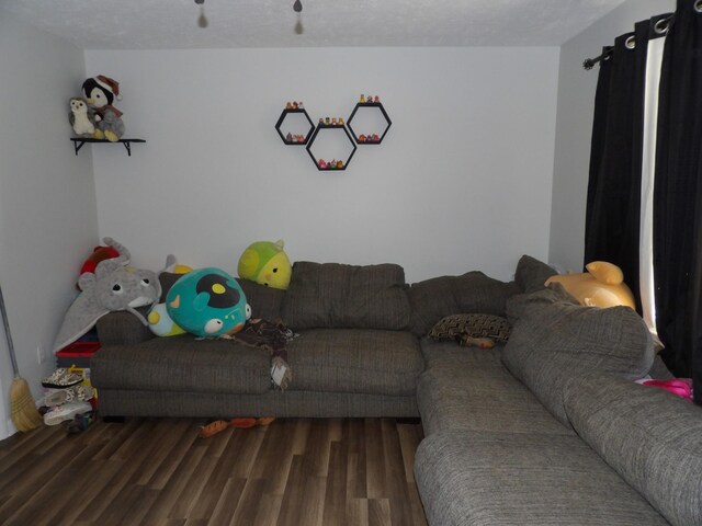 living room featuring hardwood / wood-style floors