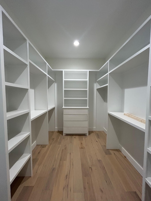 4928 Elmview Ct, Smyrna, TN 37167 - walk in closet with light wood-type flooring