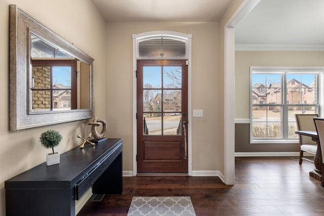 foyer entrance featuring dark hardwood / wood-style floors and a wealth of natural light