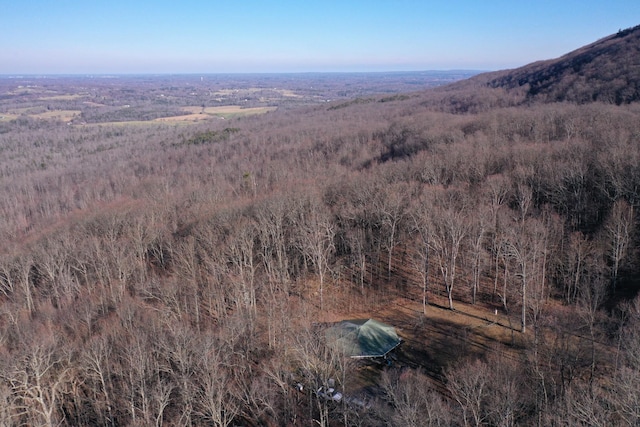 aerial view with a mountain view