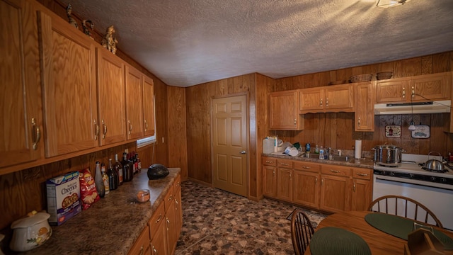 kitchen with electric range, sink, a textured ceiling, dark stone counters, and wooden walls