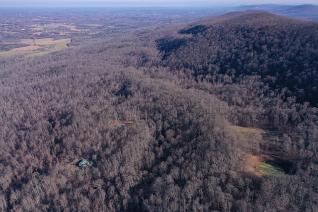 aerial view with a mountain view